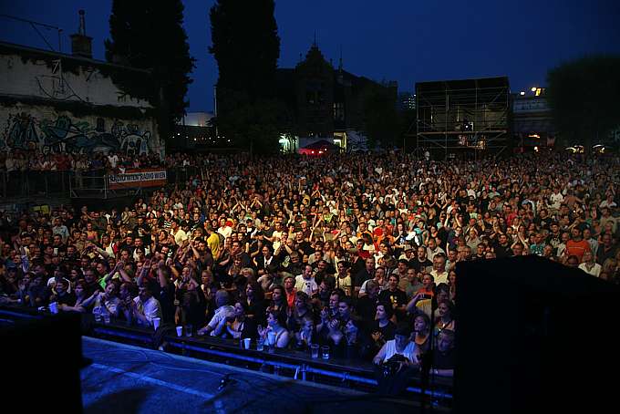 231.big.jpg 231.big.jpg